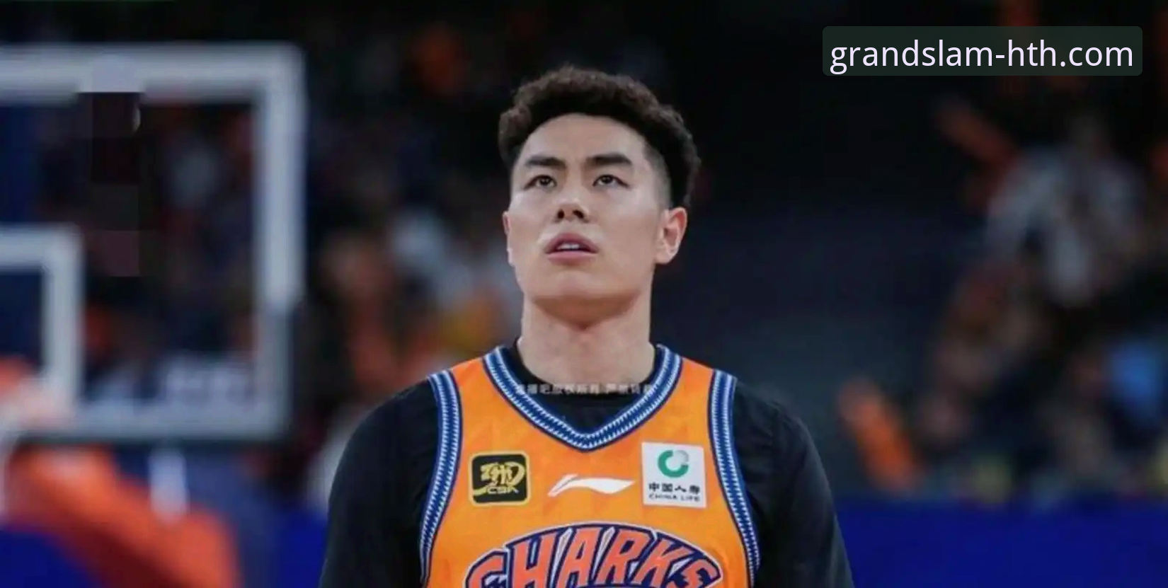 华体会体育app下载 3个关键维度,深度解析上海男篮12连胜背后的统治力